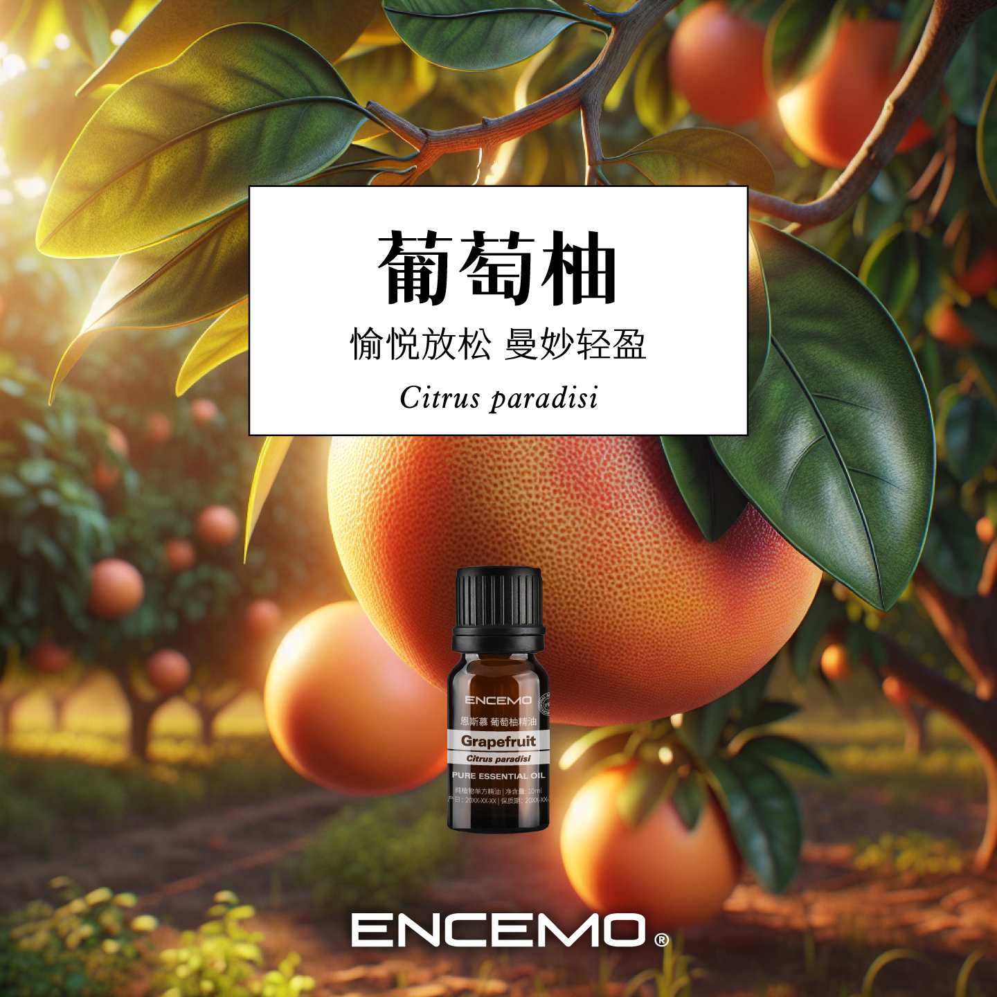 ENCEMO葡萄柚单方精油