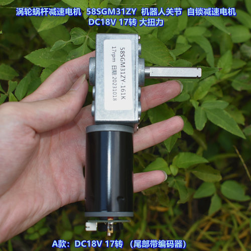 涡轮蜗杆减速电机DC18V大扭力