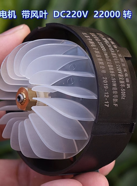 滚珠轴承 三相无刷电机 带风叶 DC220V 22000 转 热风鼓风机电机