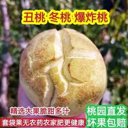 冬桃新鲜丑桃麻脸桃雪桃爆炸桃青桃裂口桃秋桃寒露蜜桃新鲜水果