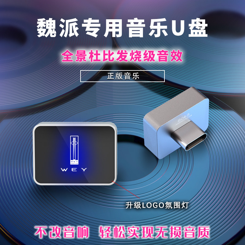 适用于魏派车载音乐随身碟蓝山高山摩卡vv567玛奇朵拿铁专用无失