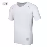 TS20001 Tyson Wolf T01 Серебряные ионы Супер сильные гигроскопические, пот, антибактериальная дезодоризация, антиддеодоризация, анти -сухая настройка Т -ланьи