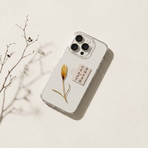 如玮苹果17防摔压花禅意手机壳