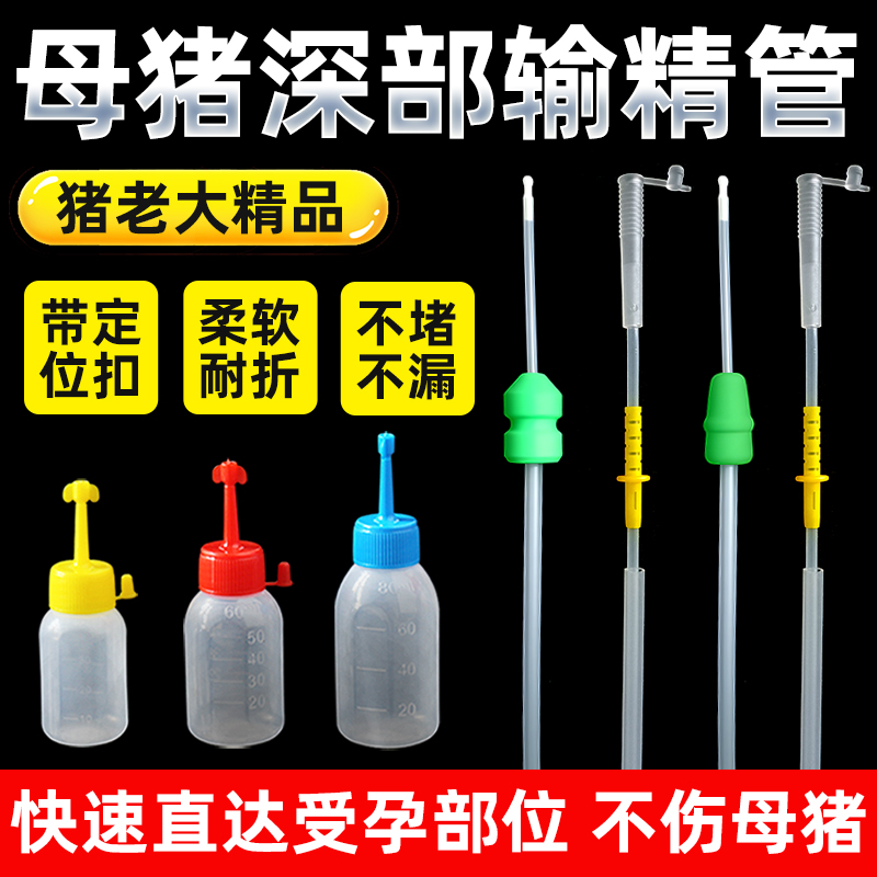 猪老大猪用深部输精管瓶母猪授精