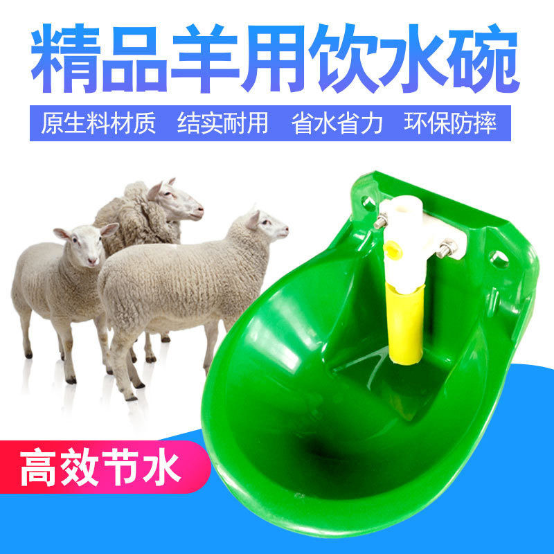 羊饮水碗 羊用自动饮水碗 羊饮水器猪牛羊喝水碗养羊设备养殖