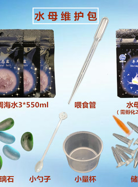 水母活物水母活物维护包海水海盐
