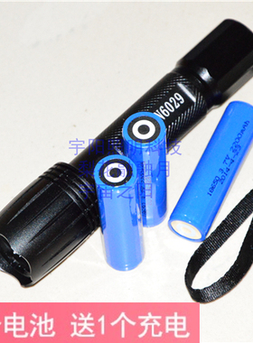 浙江正辉CON6029展豪瑞泰BZH6029多功能强光巡查电筒充电器锂电池
