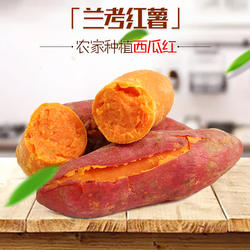 裕禄情河南兰考新鲜现挖沙土地红心蜜薯地瓜番薯5斤/9斤