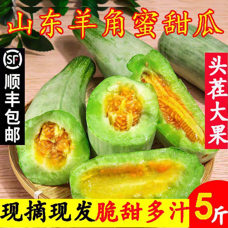 山东羊角蜜甜瓜头茬新鲜水果当季吃蜜瓜香瓜博洋应季整箱顺丰包邮