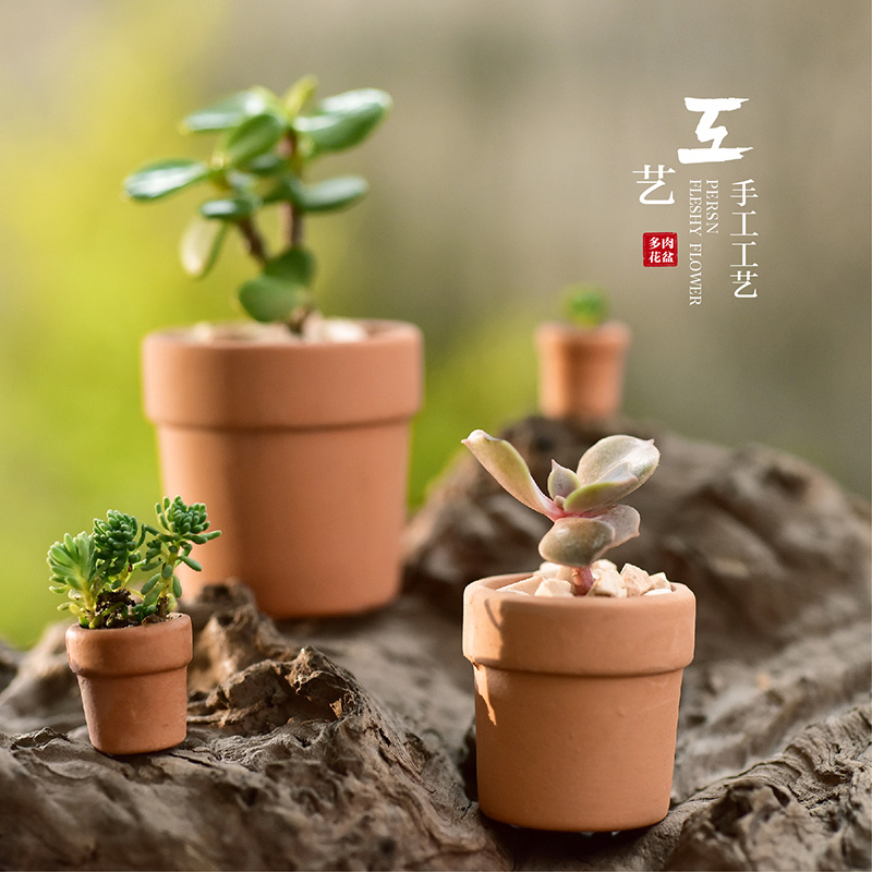 超级迷你袖珍拇指多肉育苗叶插陶瓷花盆多肉花盆植物盆栽小型花盆|ruв категории доставка цветов/цветок моделирования/растения садоводства, ваза/цветок/горшок/цветок (новый), горшок - от Buy2taobao.com для оказания профессиональной услуги покупки агента Taobao