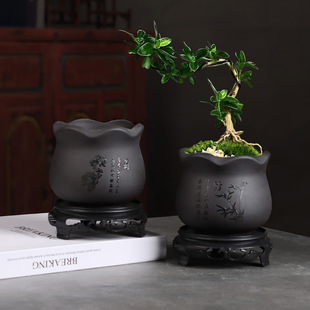 紫砂圆形花盆雕刻花卉室内客厅桌面盆栽植物器皿兰花小花盆文竹盆