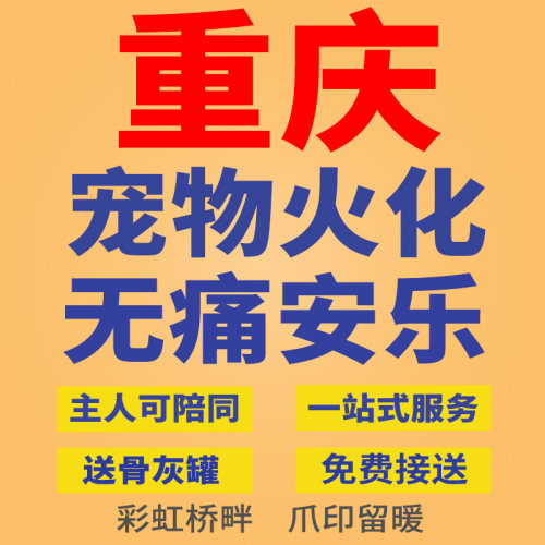 宠物殡葬
