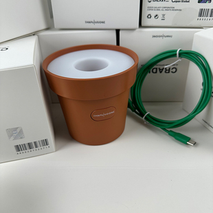 GD权志龙应援棒小雏菊应援棒花盆蓝牙款官方正品应援棒花盆钥匙扣