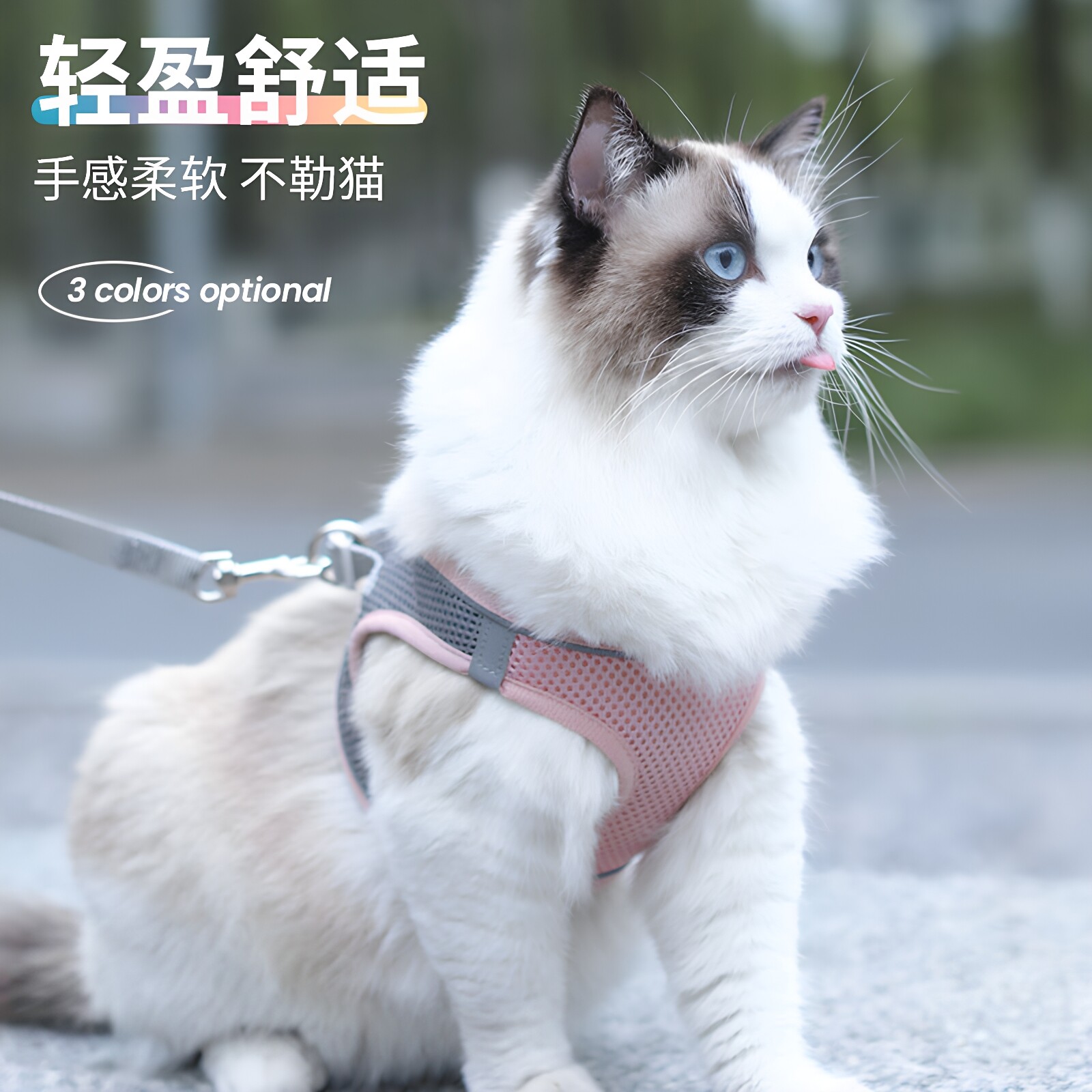 猫咪胸背牵引绳防挣脱透气不勒图片