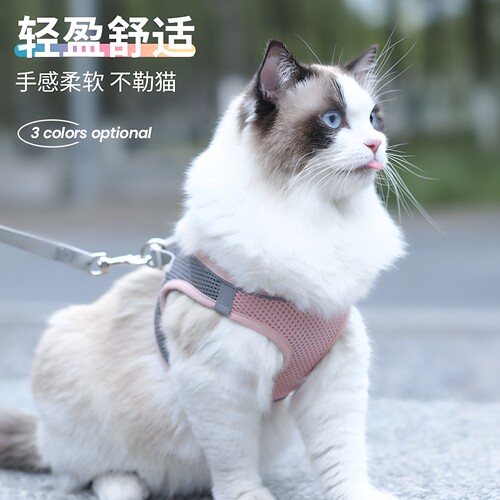 猫咪胸背牵引绳防挣脱透气不勒