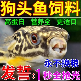 狗头鱼饲料斑马皇冠河豚巧克力娃娃淡水活体鱼通用高蛋白大小颗粒