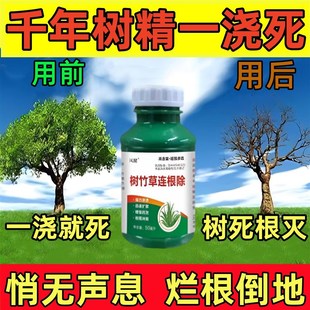 大树烂根药大树一滴死烂树根剂除树强力除草灭竹子枯树专用药神器