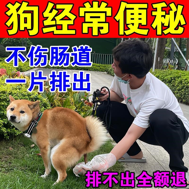 狗狗便秘治疗排便困难润滑肠道调理肠胃呕吐腹泻猫狗肠道益生菌片