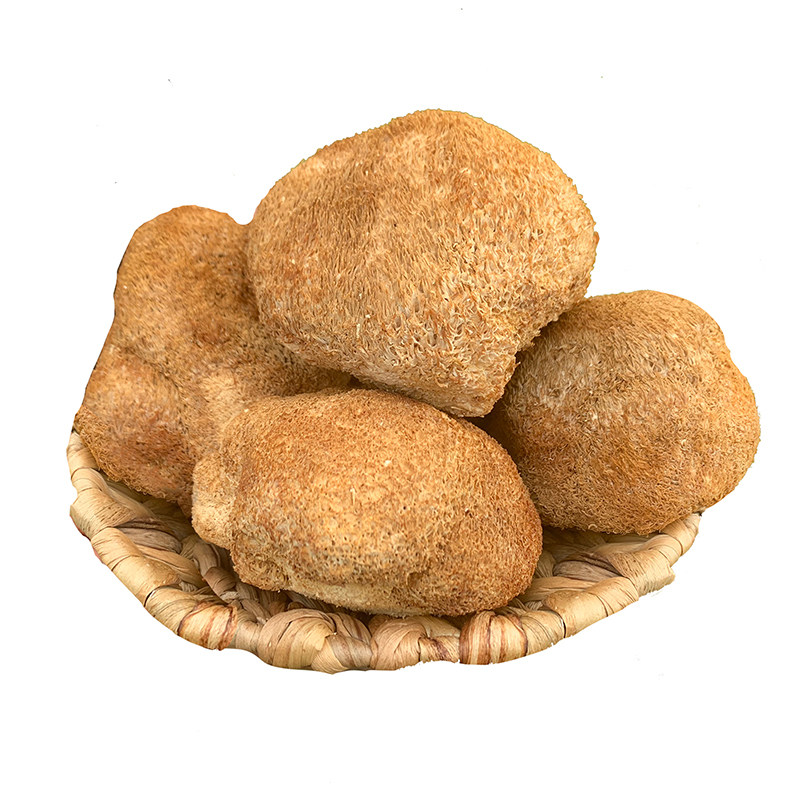 中药材 猴头菇 晒干 猴头菇 猴头蘑 刺猬菌 猴菇 煲汤50克