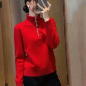 上衣时尚 慵懒风设计高级拉链2025翻领打底毛衣秋冬新款 宽松针织衫