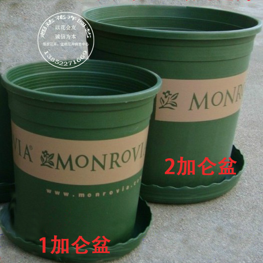摔不坏系列 加仑盆 2加仑190g 塑料材质 经久耐用 花盆 园艺