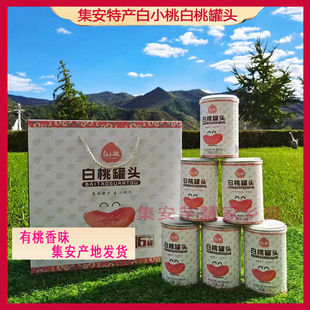 吉林集安白小桃白桃干白桃罐头水果罐头黄桃罐头礼盒装顺丰包邮