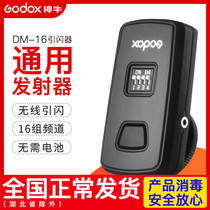神牛DM-16引闪器闪光灯单发射器 影视摄影灯触发器 同步引闪器