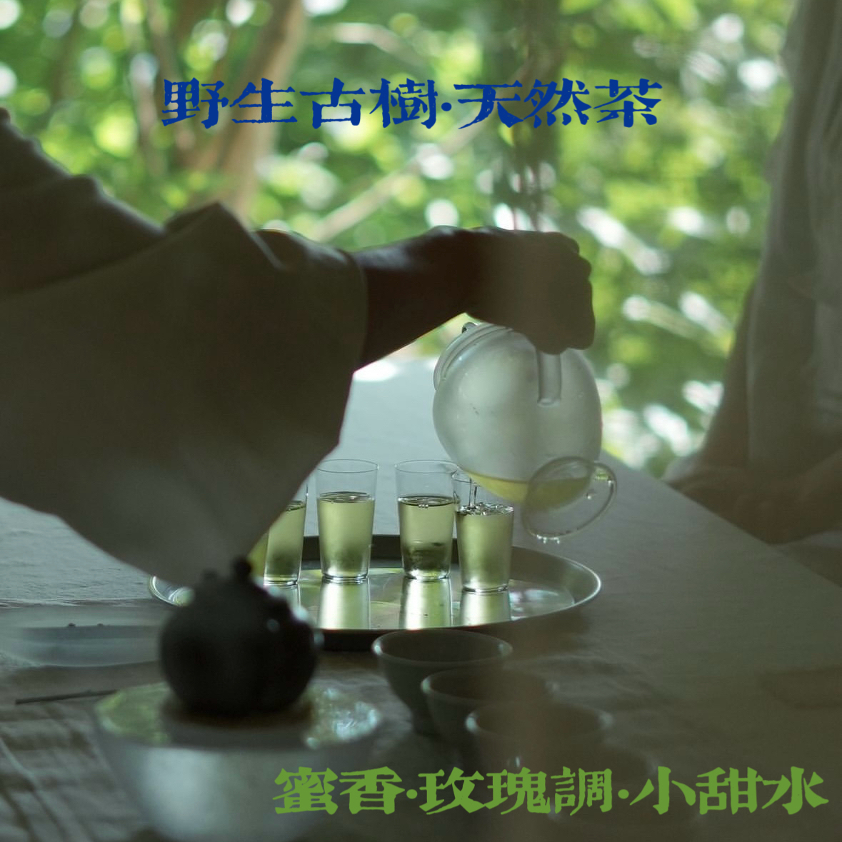 【荒野牡丹】福鼎白茶花蜜香果香玫瑰清小甜水天然野生回甘手工