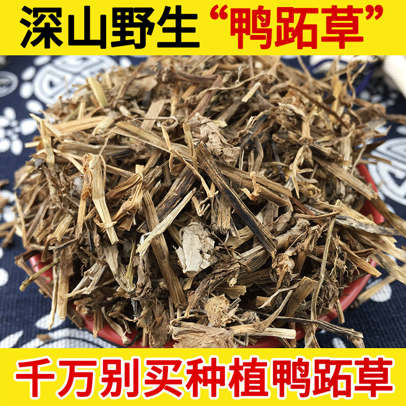 深山野生中药材鸭跖草500g 鸡舌草 碧竹子 青耳环花 碧竹子