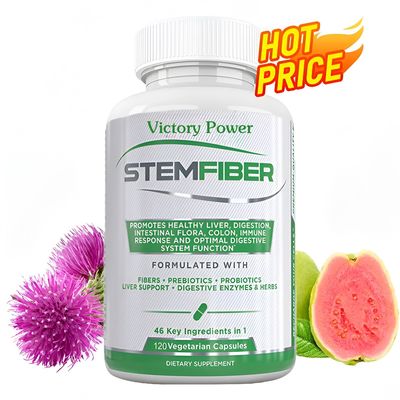 Fiber Probiotic+Prebiotic Supplement,纤维益生菌+益生元补充剂