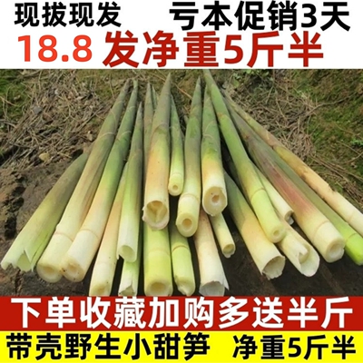 小竹笋新鲜野生江西带壳小春笋非雷笋现挖小笋子水竹笋尖山笋甜笋