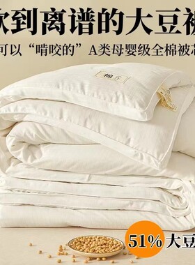 All Season Bedding Comforter Quilt Insert Blanket Duvet Bed