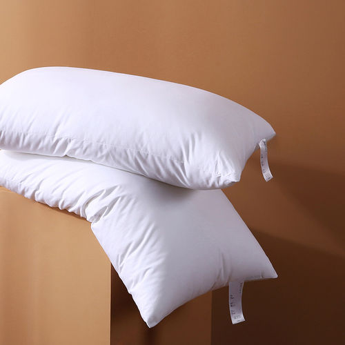 PillowcorefHotBeng48
