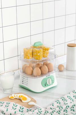 双层电蒸锅煮蛋器新疆包邮早餐机