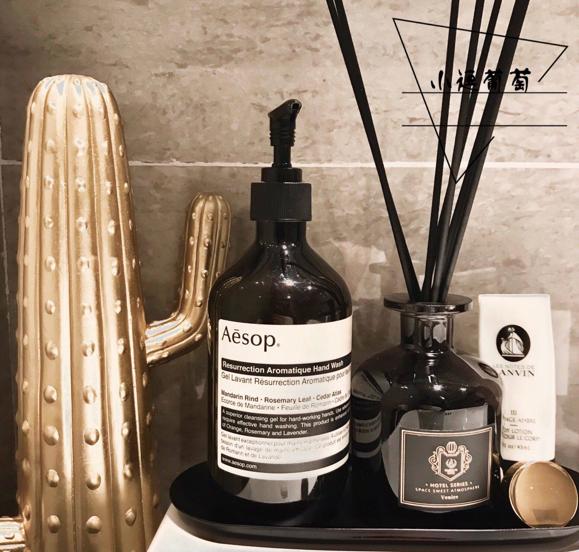 aesop伊索 赋活芳香尊尚手部洁净露 洗手液 500ml