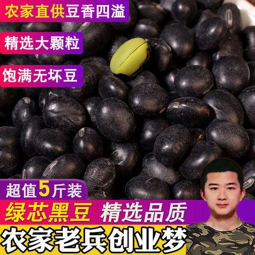 黑豆新货非转基因青仁绿心醋泡