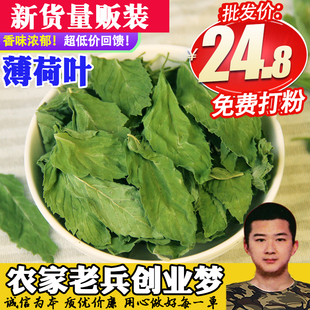 薄荷叶新货花草茶薄荷茶农家 新鲜干薄荷叶味浓去口气提神醒脑50g