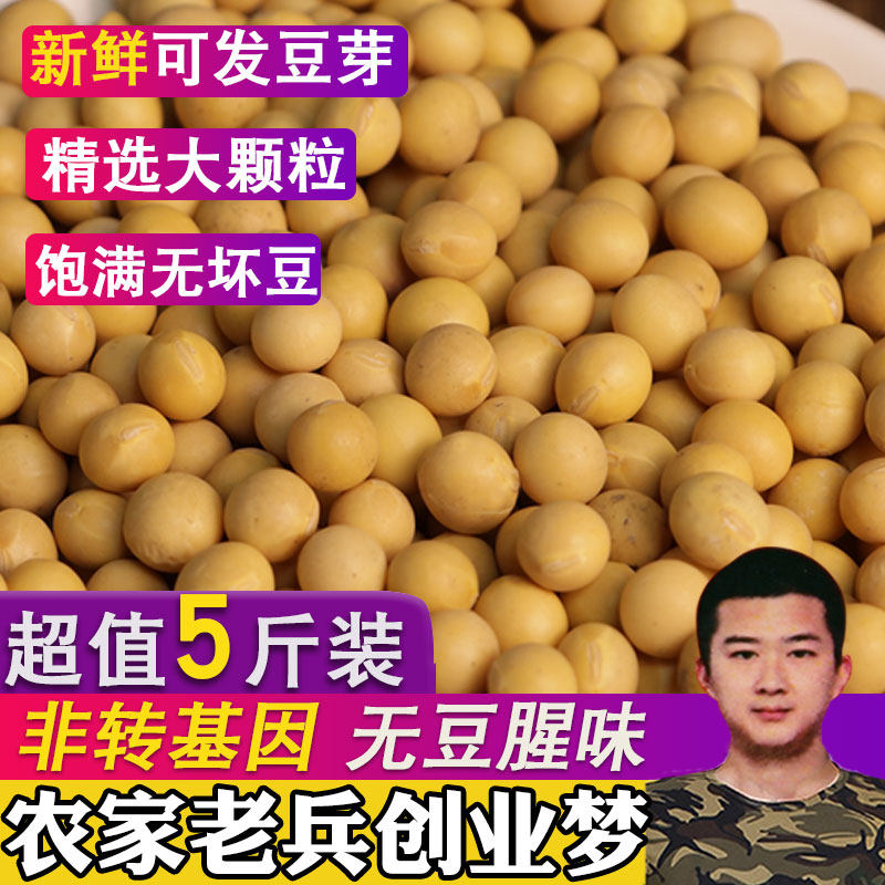5斤黄豆新货2500g非转基因黄豆打豆浆专用黄豆农家自种黄豆大黄豆