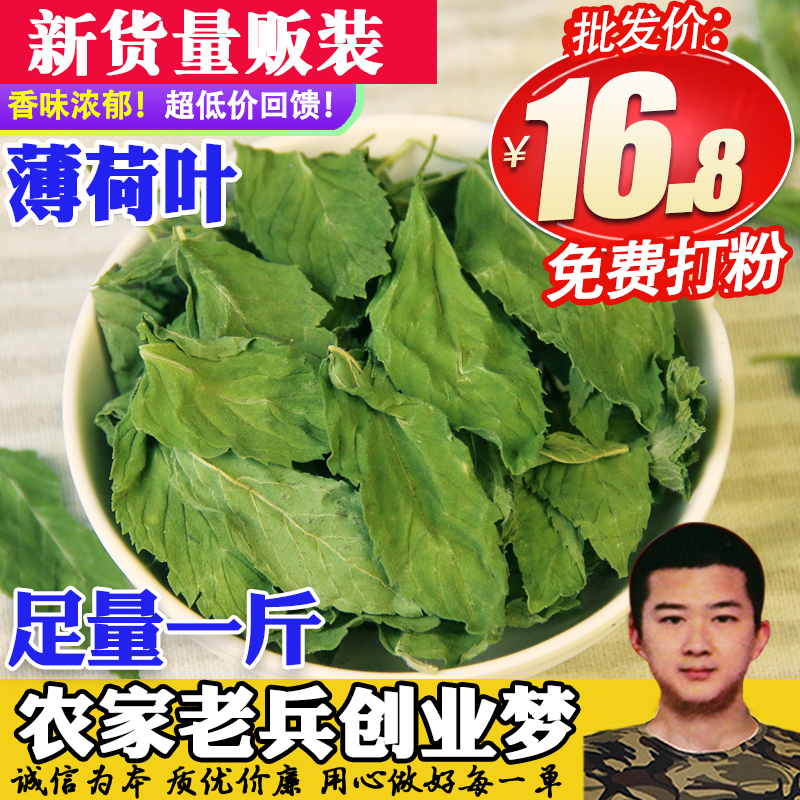 新货味浓去口气提神醒脑干薄荷叶