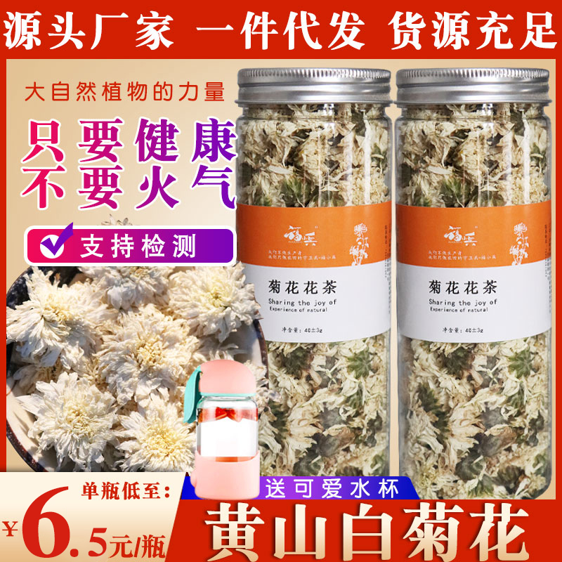 瓶装瓶装黄山贡菊白菊花新货