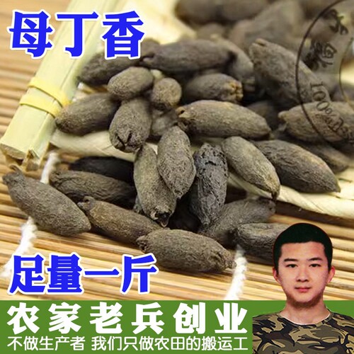常用大全母丁香温中散寒0包邮