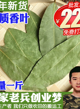 香叶月桂叶干货卤料调料商用