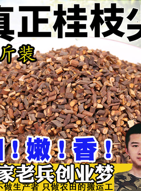 真正桂枝尖 新货嫩桂枝尖 野生特细嫩条中药材一级天然可磨粉500g