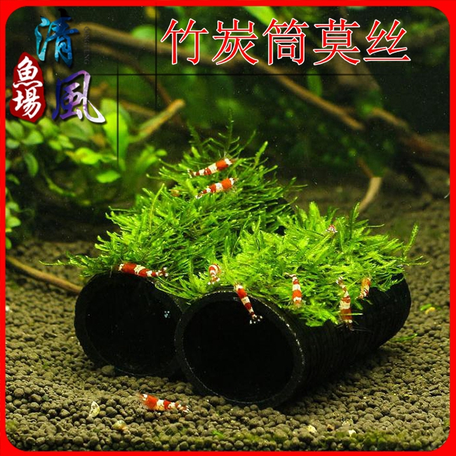 竹炭筒大三角水质净化懒人