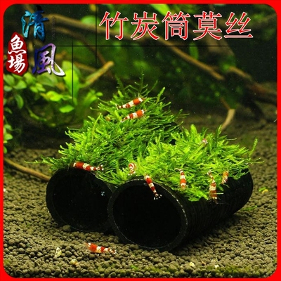 竹炭筒大三角水质净化懒人