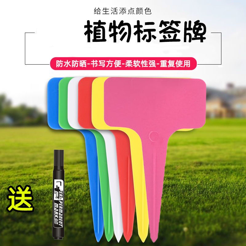 标签牌园艺多肉标识花卉绿植标签植物名称记录防水塑料插地牌通用