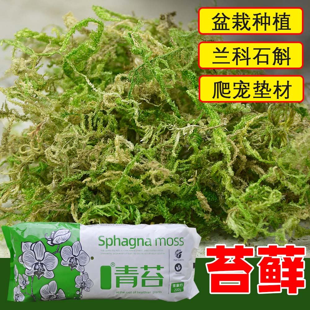 干苔藓水苔青苔兰花蝴蝶兰石斛种植专用营养土植料乌龟冬眠水台