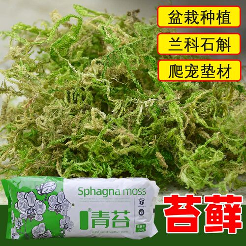 干苔藓水苔青苔兰花蝴蝶兰石斛种植专用营养土植料乌龟冬眠水台