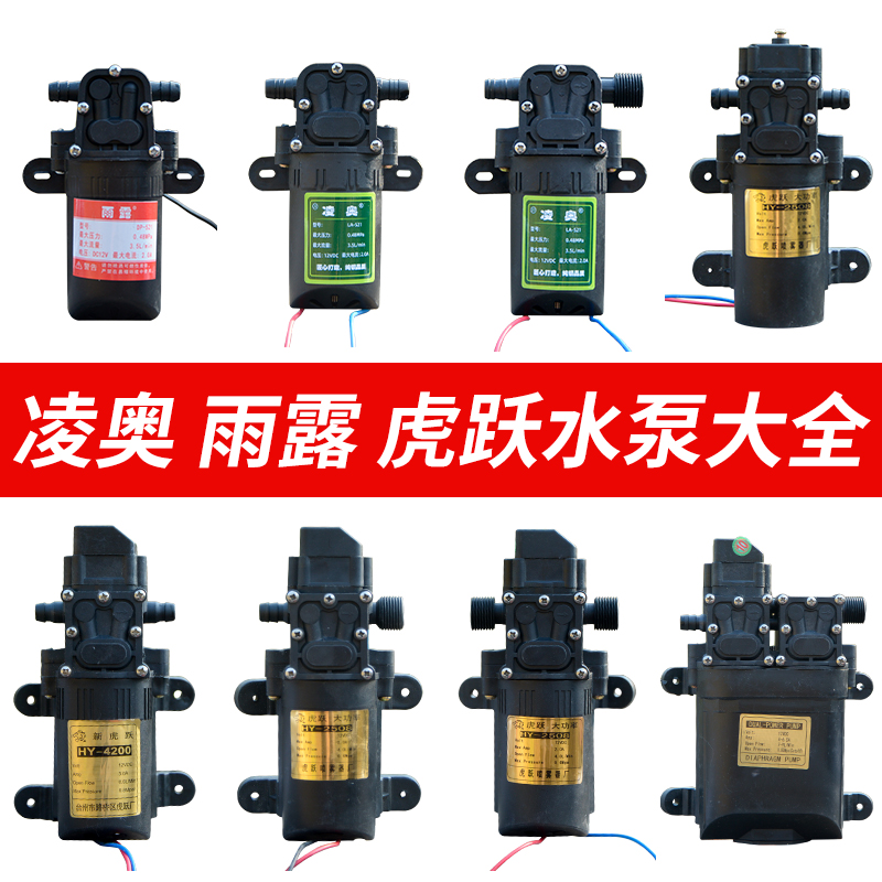 12v伏农用电动喷雾器水泵智能泵洗车泵小马达小水泵隔膜泵自吸