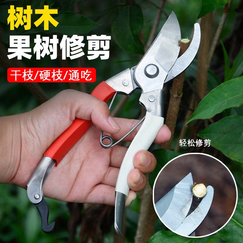 高硬度修枝剪果树剪刀园艺省力粗枝剪修树枝园林工具花艺省力剪子